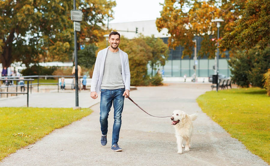 A man recovering from addiction walks with his dog daily as a healthy habit.