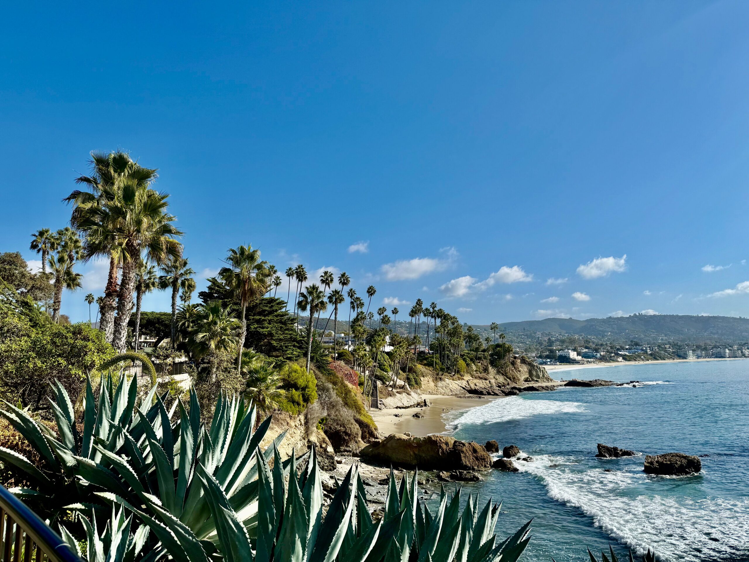 Scenic Orange County coastline featuring palm trees, ocean views, and sandy beaches, showcasing the natural beauty and peaceful environment of Southern California.